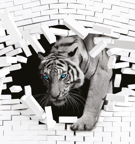 Фотообои 654485745274