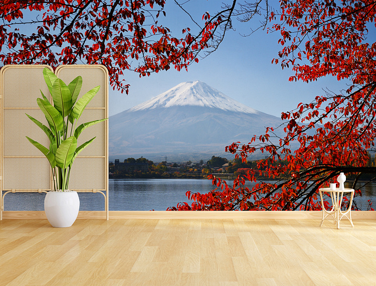 Фотообои 55179380