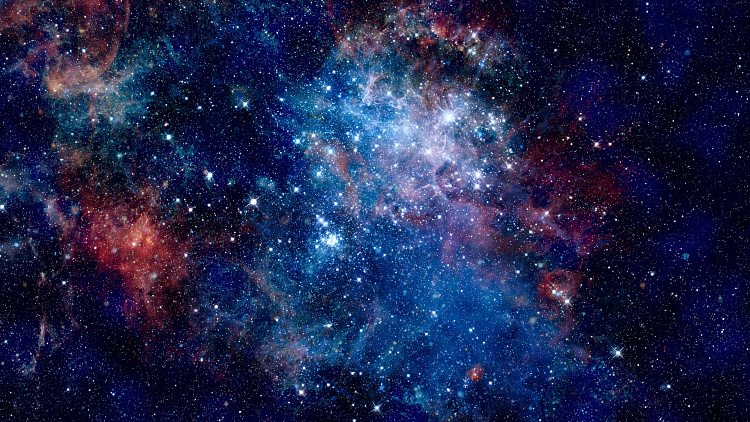 Фотообои 180114858