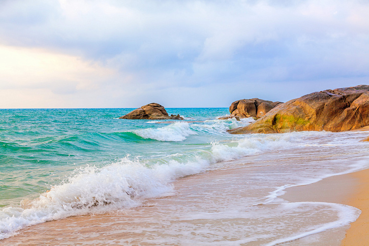 Фотообои 369973448