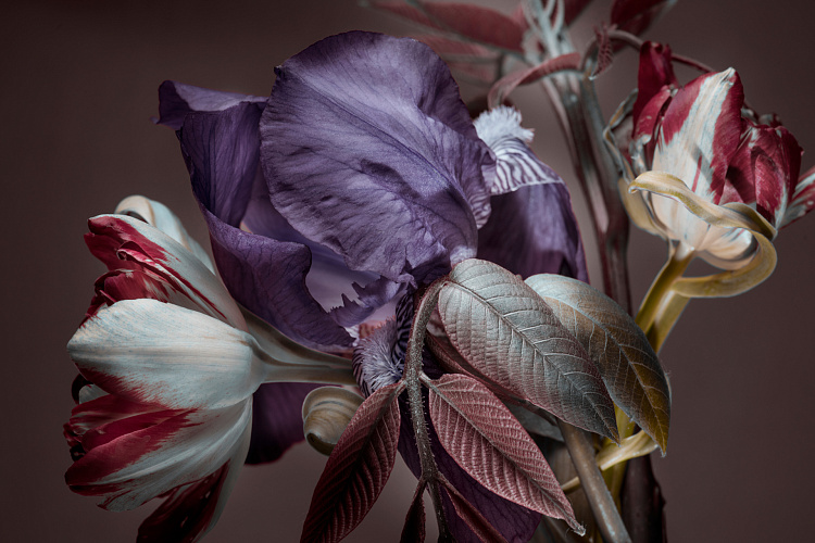 Фотообои 1411187495