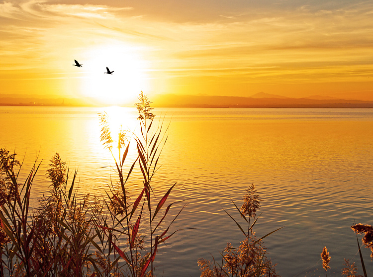 Фотообои 48314070