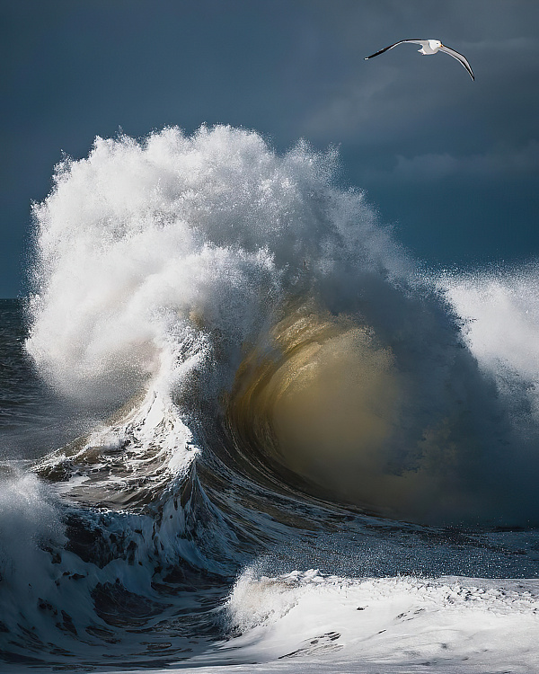 Фотообои 2652339933