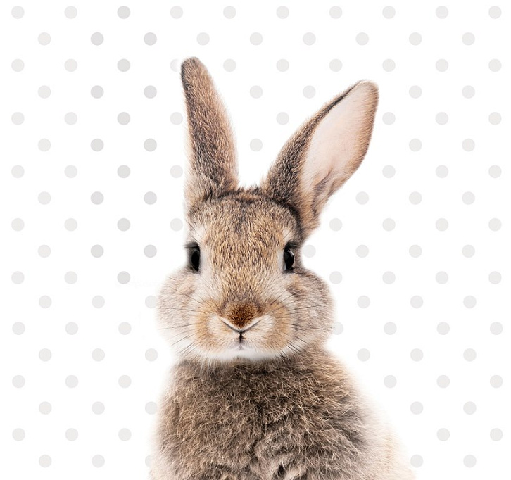 Фотообои 0274392636