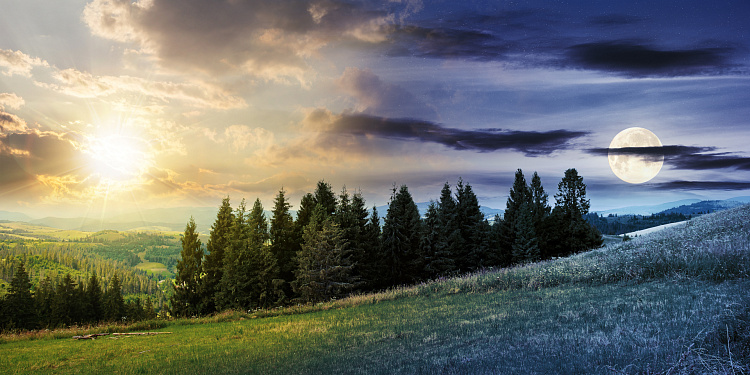 Фотообои 408117271