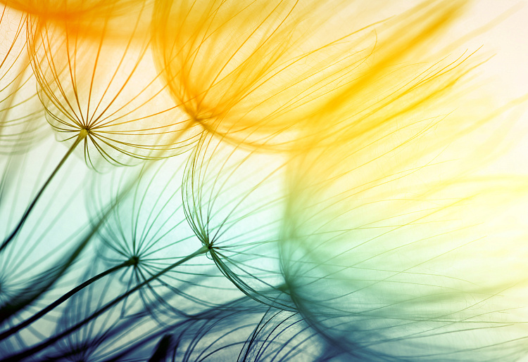 Фотообои 84440410