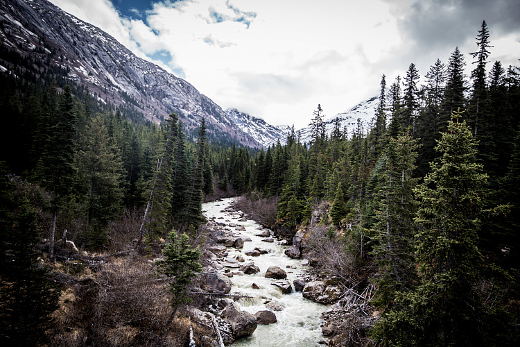 Фотообои 1312511870