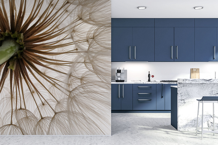 Фотообои 447893412