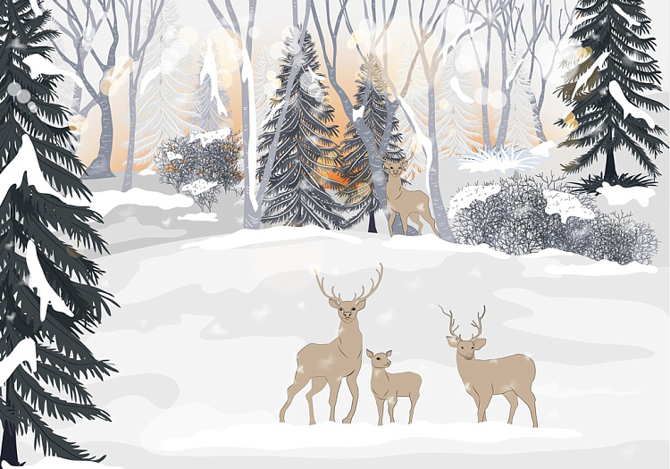 Фотообои 355646398