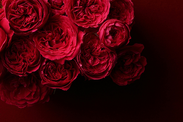 Фотообои 94478671