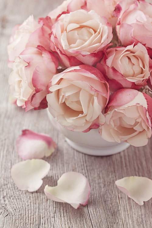 Фотообои 45788483