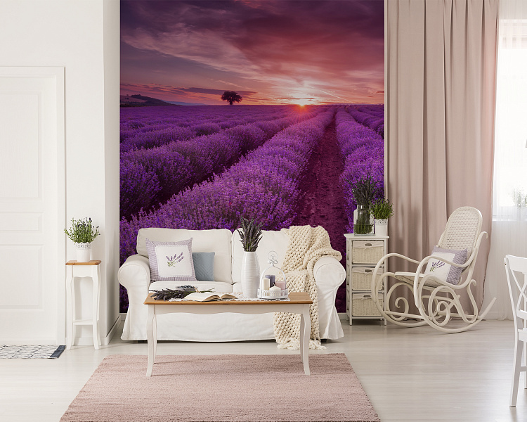 Фотообои 256975449