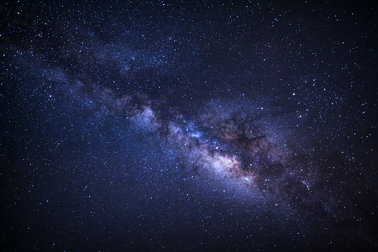 Фотообои 168405642