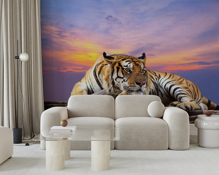 Фотообои 57972896