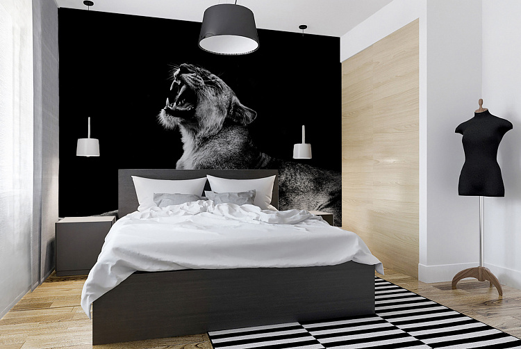 Фотообои BLX_Visual_03