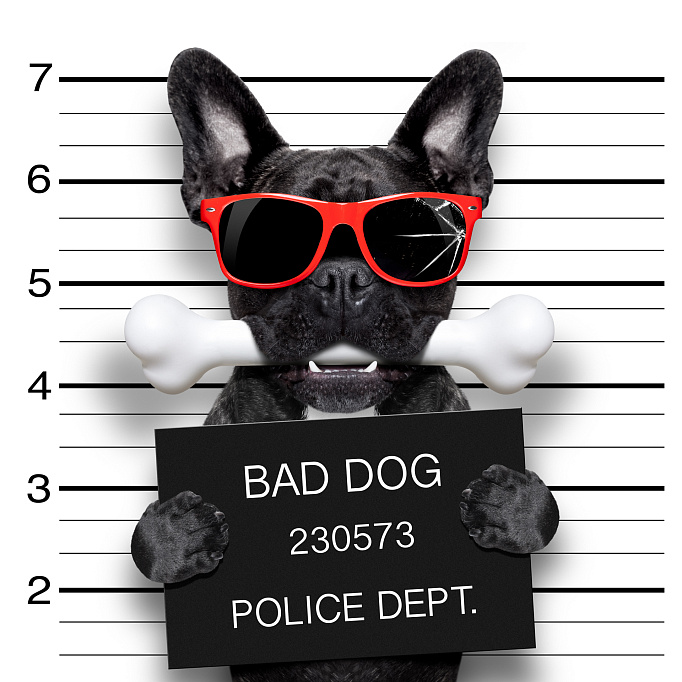 Фотообои 88612983