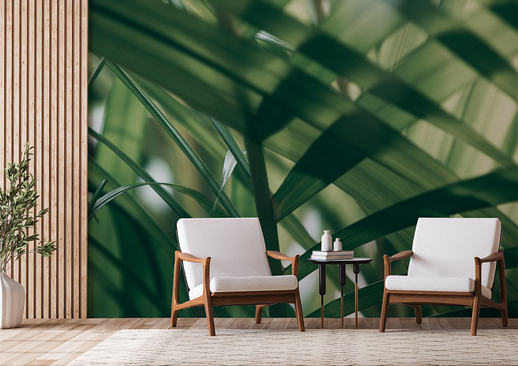 Фотообои 225160267