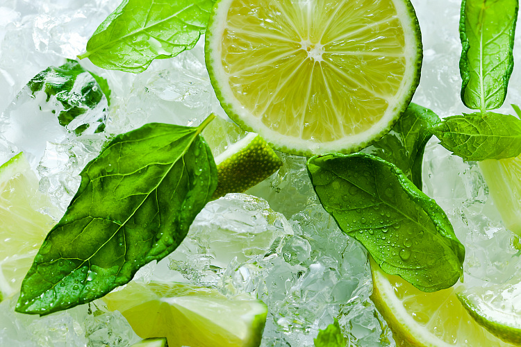 Фотообои 76048242