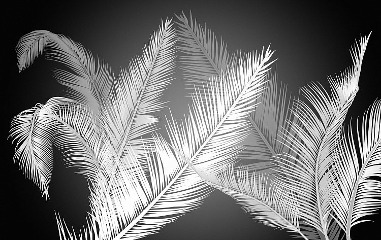 Фотообои 783754924