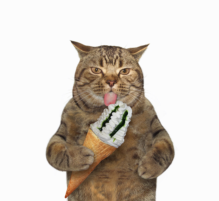 Фотообои 1519493501