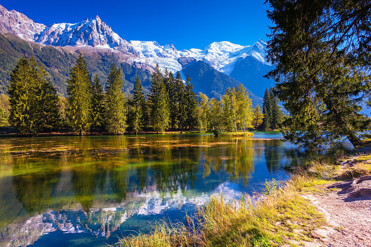 Фотообои 127806147