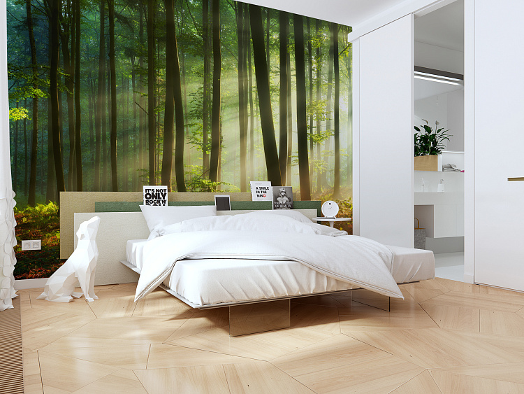 Фотообои 290992981