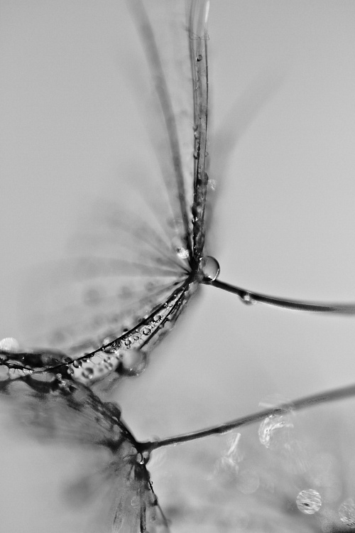 Фотообои 71951200