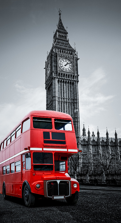 Фотообои 82806919