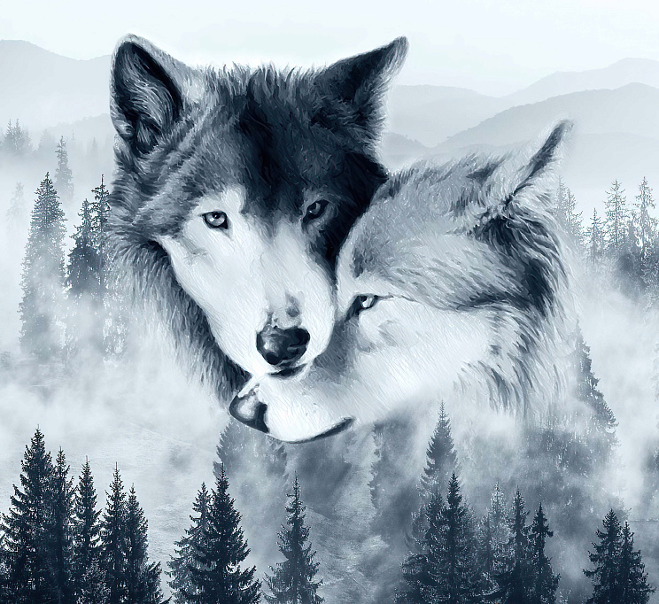 Фотообои G02_188