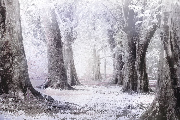 Фотообои 91996407