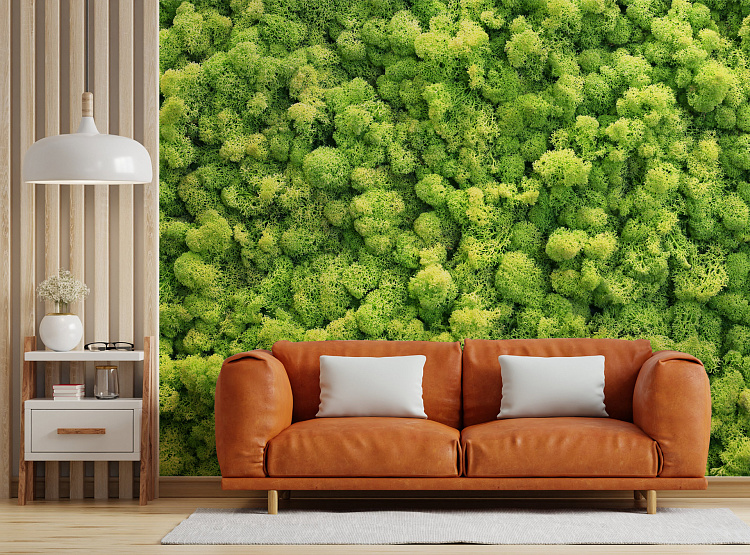 Фотообои 1012290283