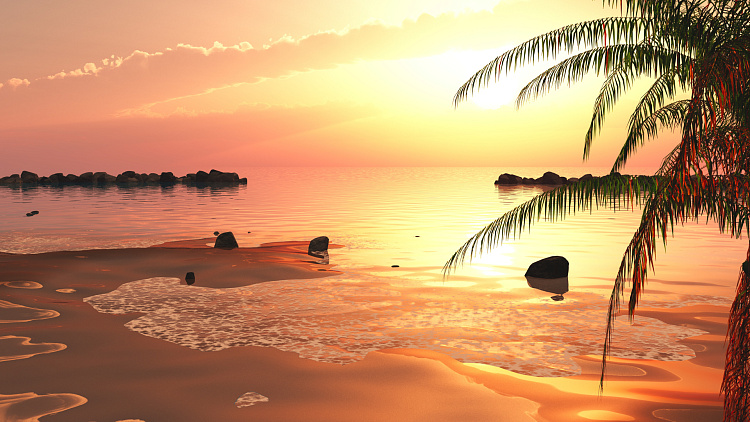 Фотообои 83755011