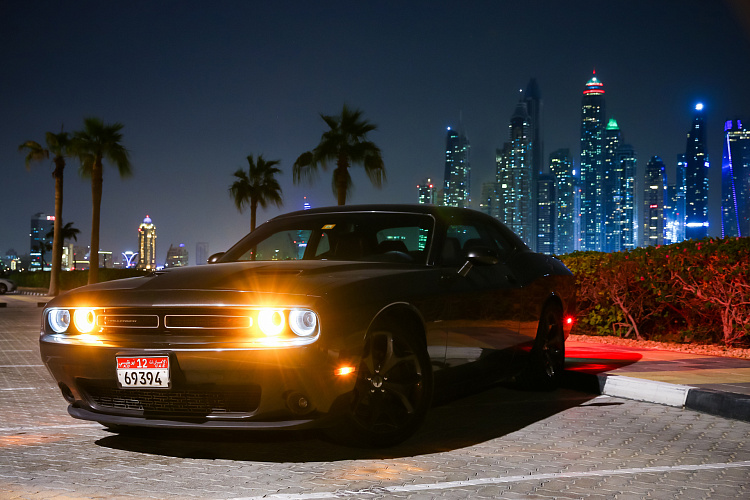 Фотообои 305449100