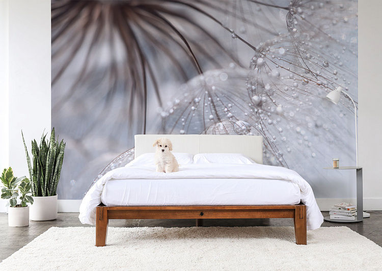 Фотообои 162809263