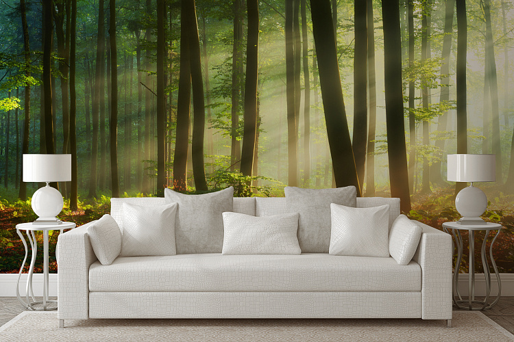 Фотообои 290992981