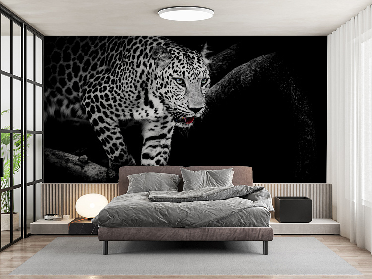 Фотообои 69706452