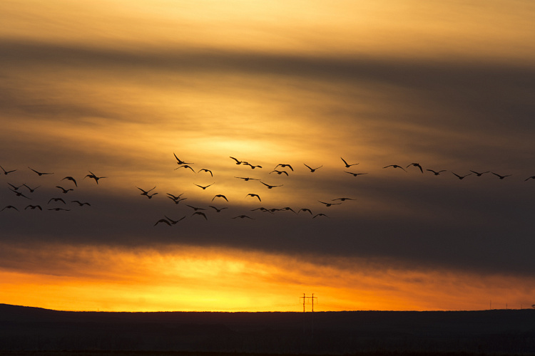 Фотообои 135992201