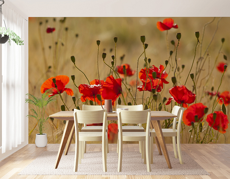 Фотообои 35209685