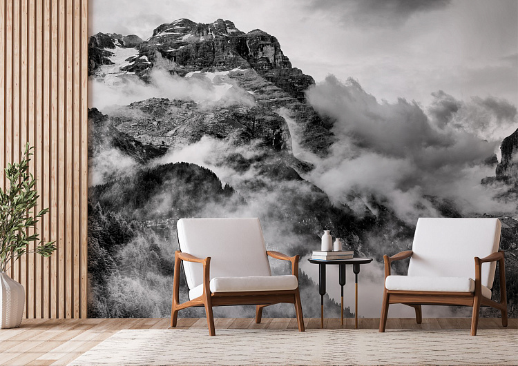 Фотообои 71743317