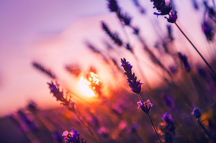 Фотообои 315965317