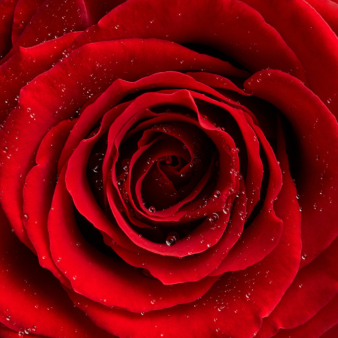 Фотообои 104670402