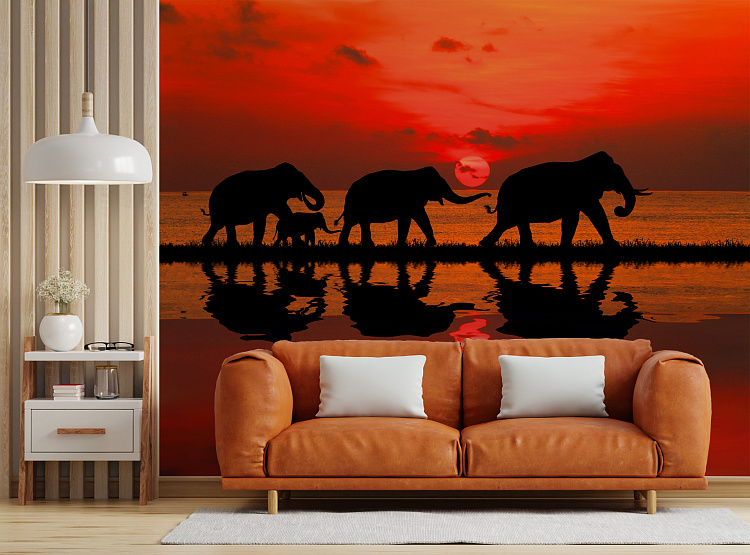 Фотообои 200498328