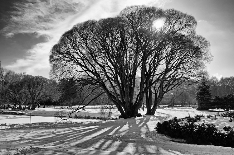 Фотообои 321804158