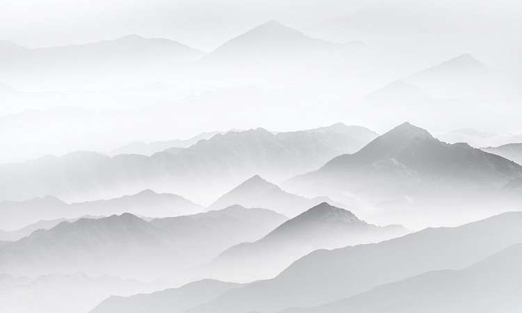 Фотообои 1431084206