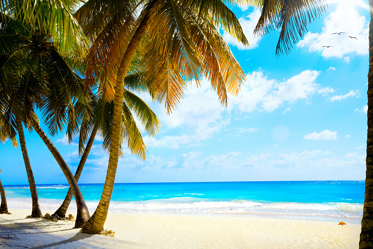 Фотообои 61872491