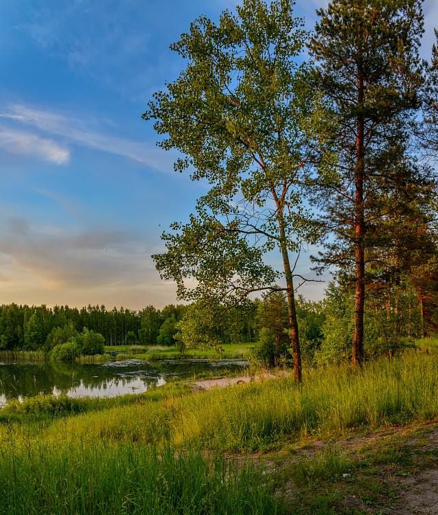 Фотообои 209822833