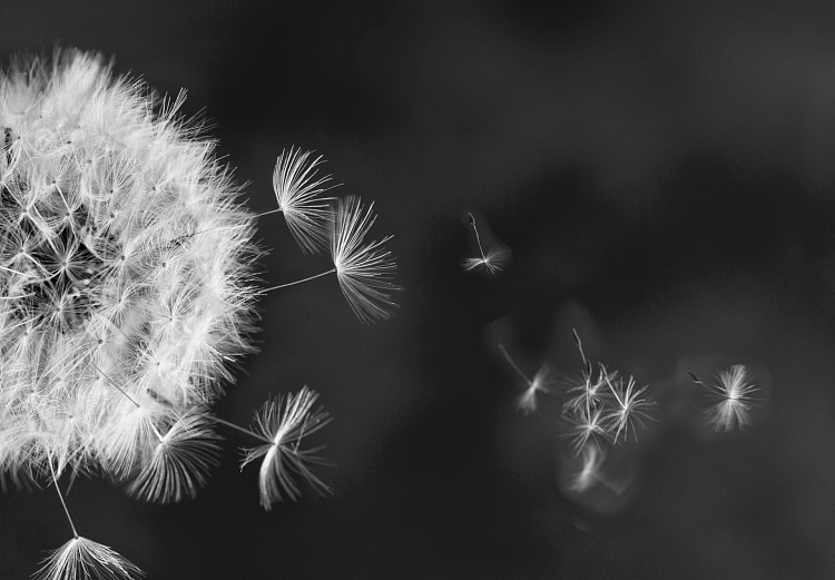 Фотообои 1624985791