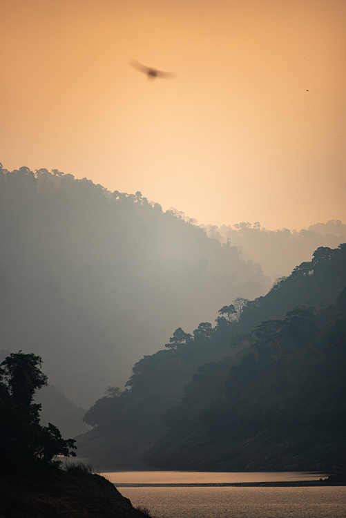 Фотообои 13454131-6954