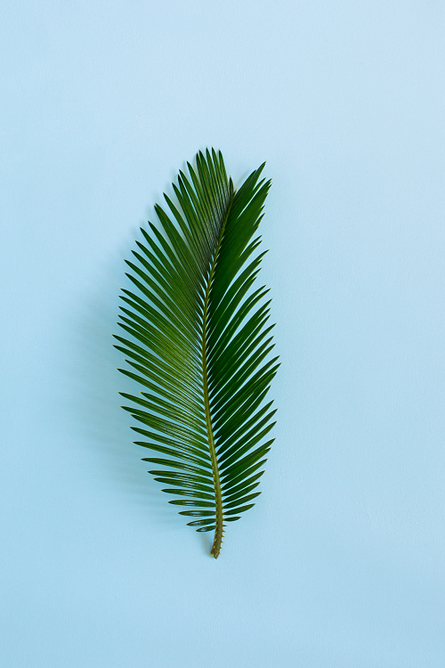 Фотообои 13454131-997