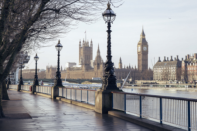 Фотообои 102357512